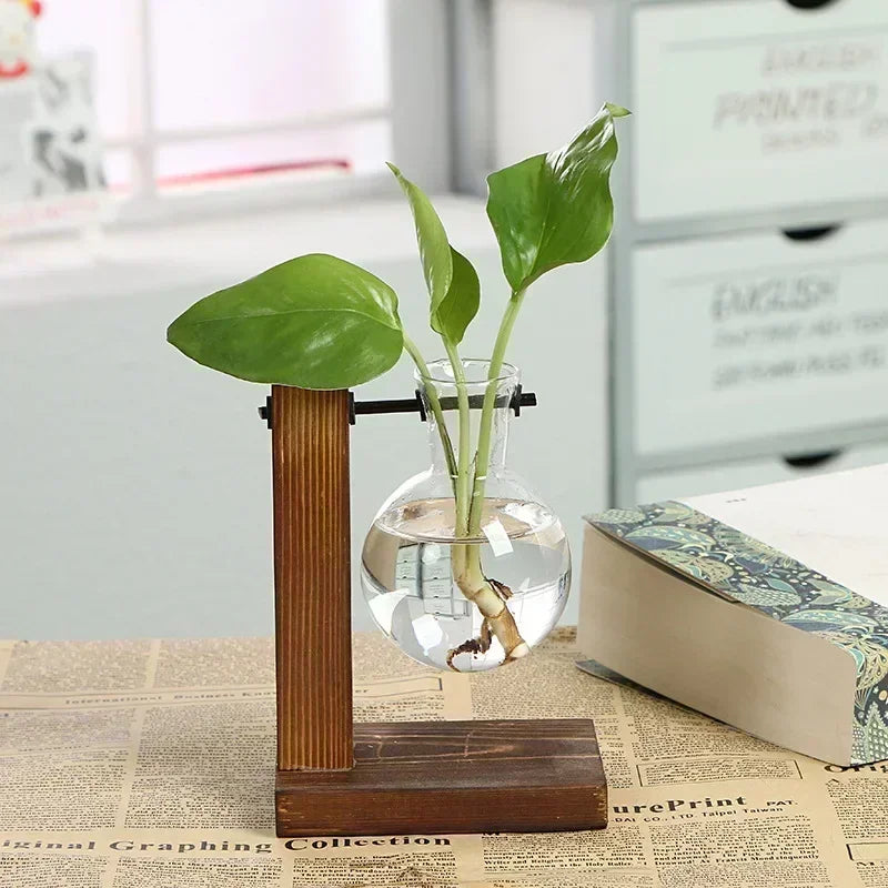 Elegantes Terrarium