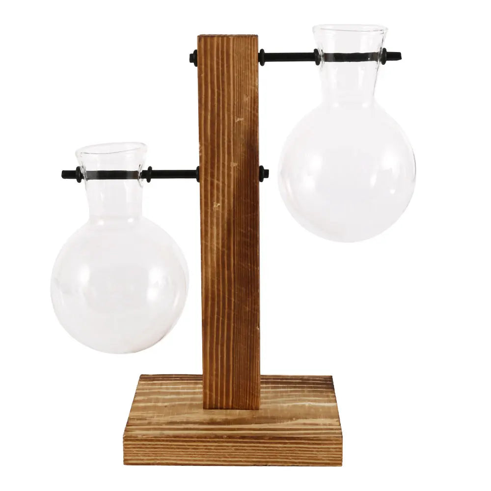 Elegante Glasterrarium