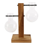 Elegante Glasterrarium
