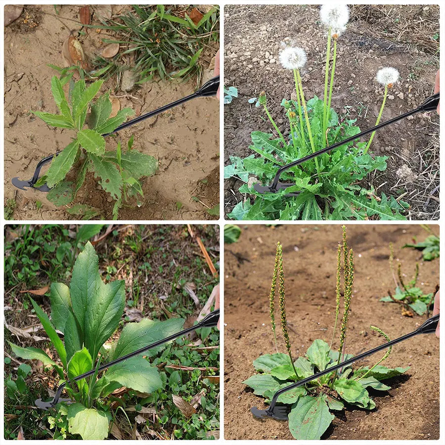 Robuste Gartenhaue