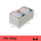 Organizer-Set