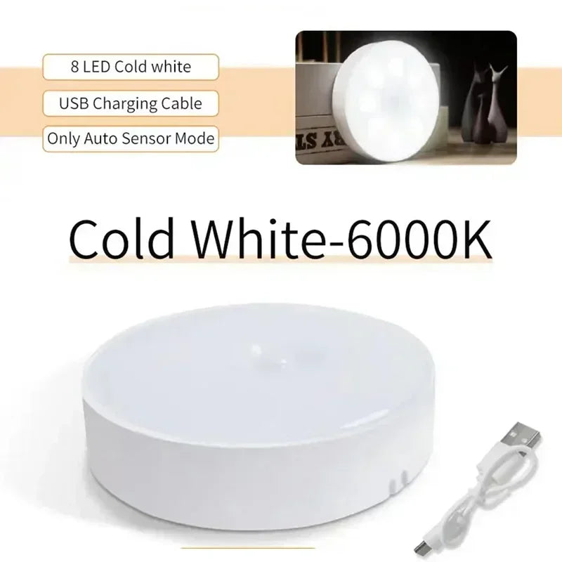 Intelligent LED night light with PIR motion sensor