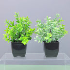 Künstliche Bonsai-Pflanze im schwarzen Topf