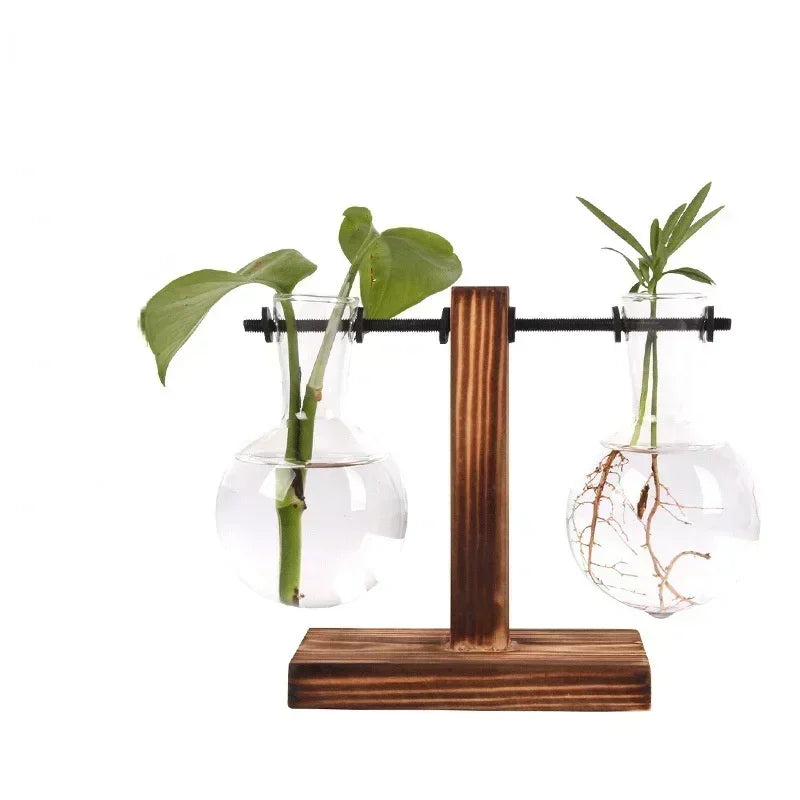 Elegantes Hydroponic-Terrarium