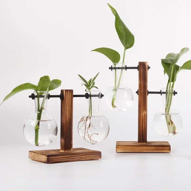 Elegantes Hydroponic-Terrarium