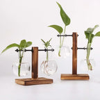Elegantes Hydroponic-Terrarium