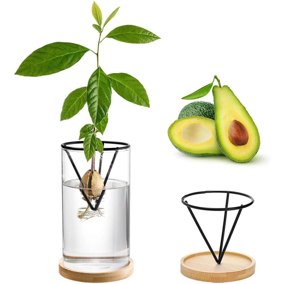 Elegante Hydroponic-Vase