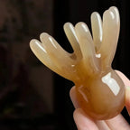 Octopus Massage Comb