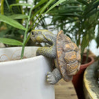 Niedliche Schildkröten-Dekofiguren