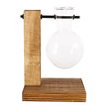 Elegante Glasterrarium
