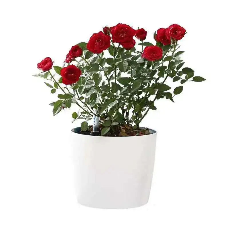 Selbstbewässernder Blumentopf