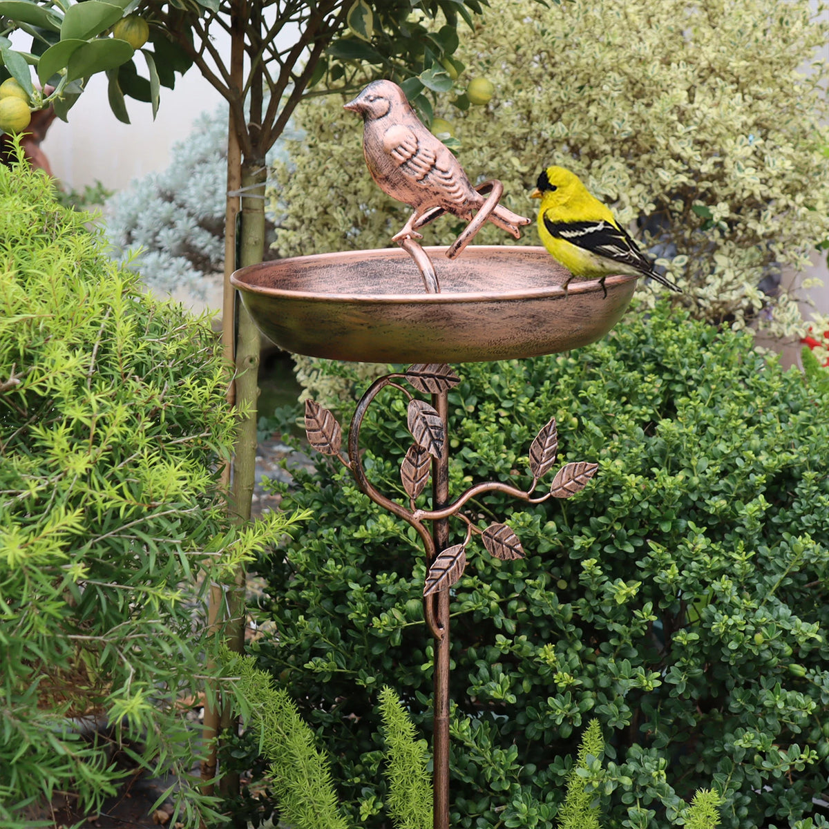 Elegante Vogeltränke