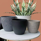 Eleganter Blumentopf