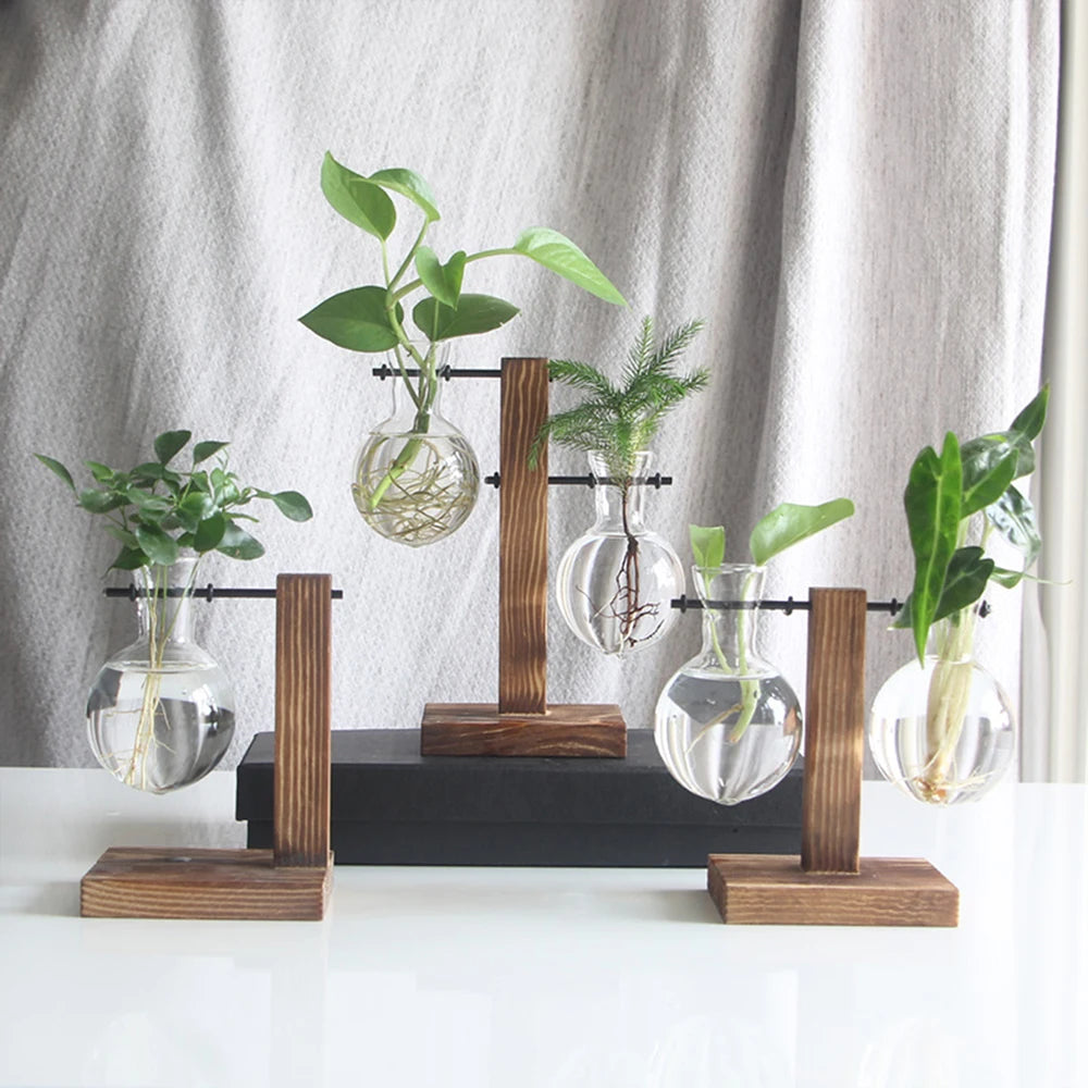 Elegante Glasterrarium