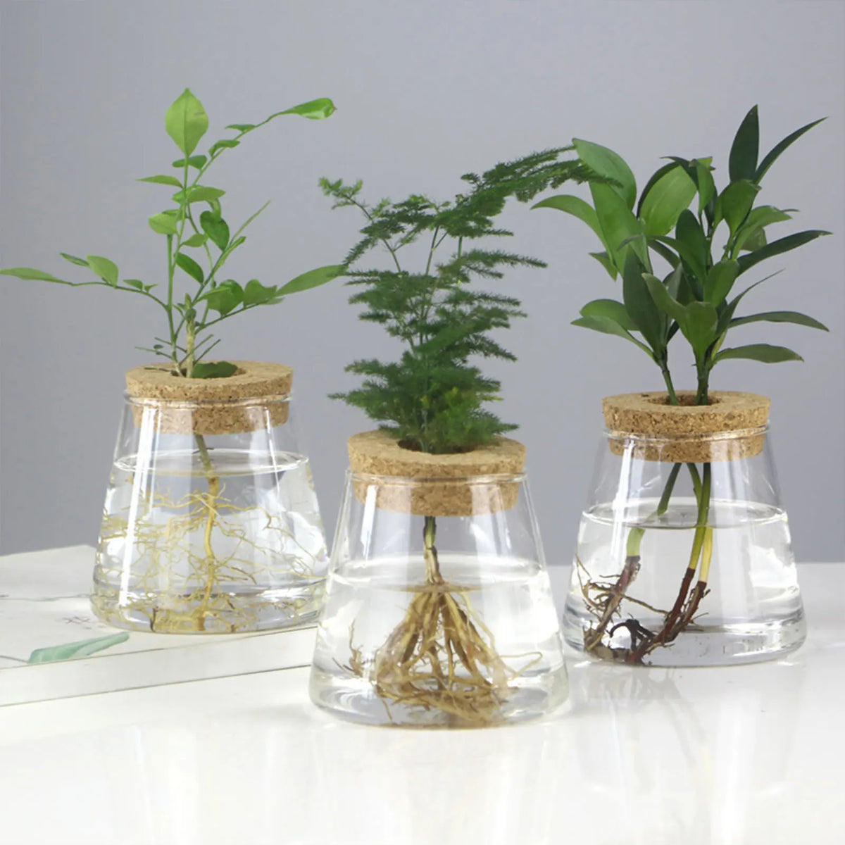 Elegante Hydroponic-Vase