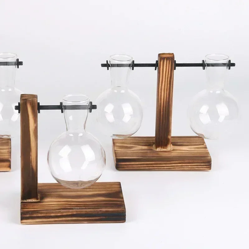 Elegantes Hydroponic-Terrarium