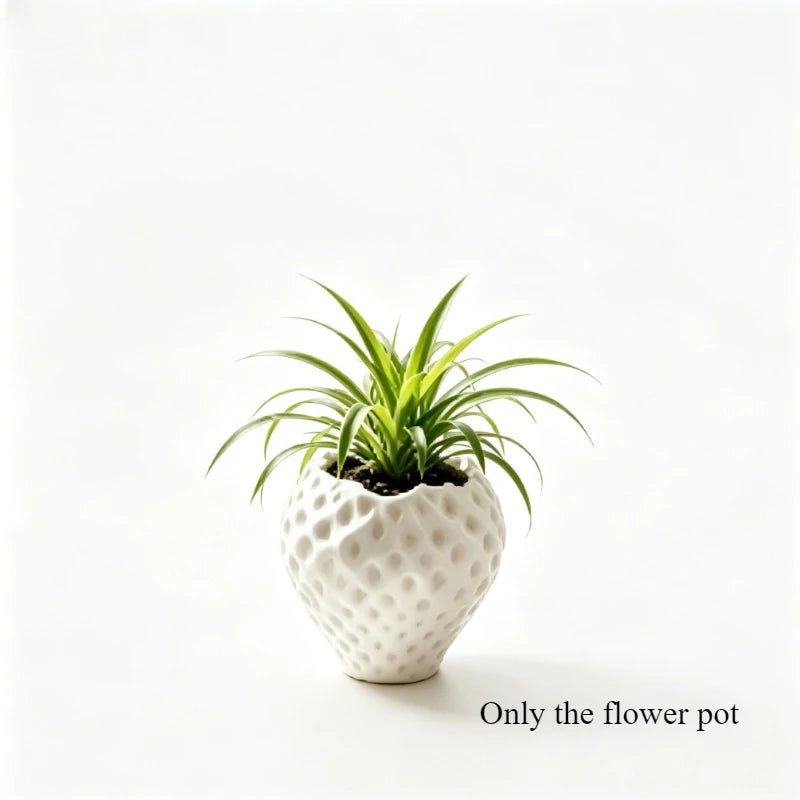 Charmanter Blumentopf
