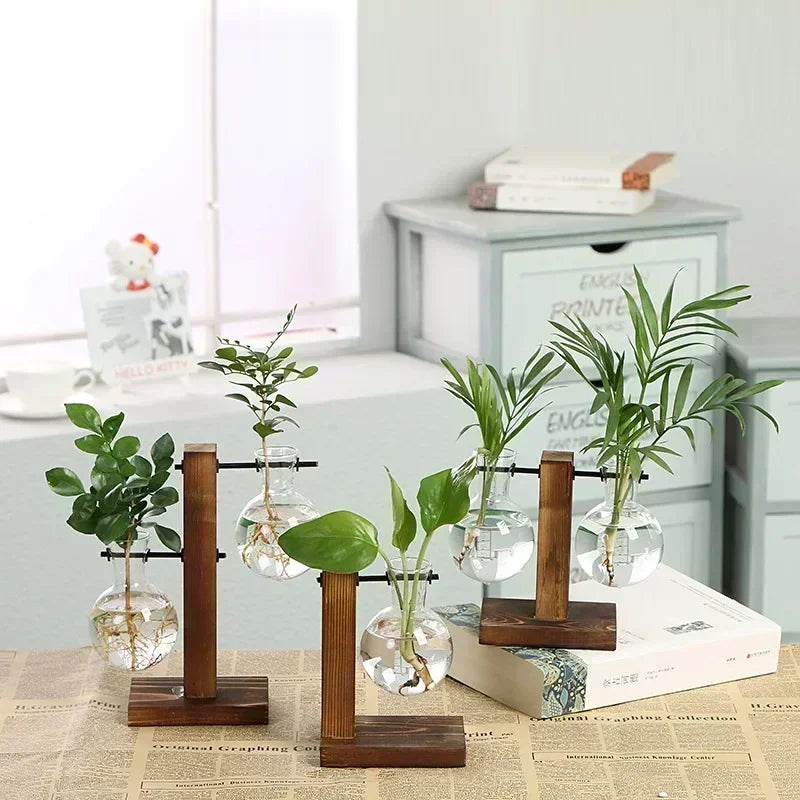 Elegantes Terrarium