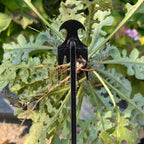 Robuste Gartenhaue