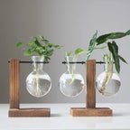 Elegante Glasterrarium