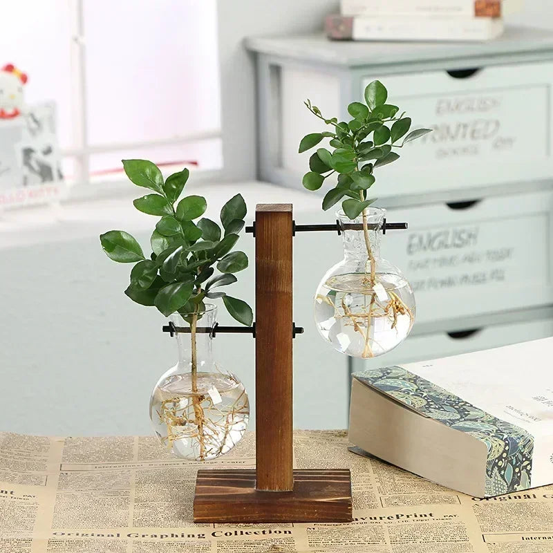 Elegantes Hydroponic-Terrarium
