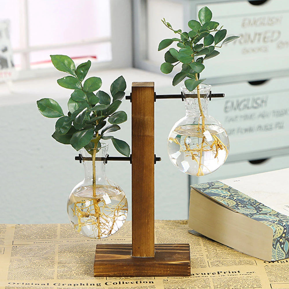 Elegante Glasterrarium