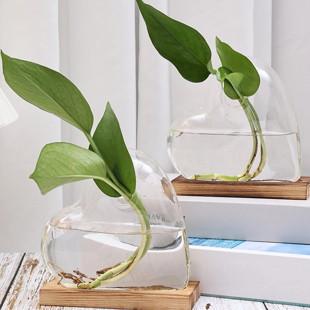 Elegante Hydroponic-Vase