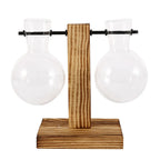 Elegante Glasterrarium