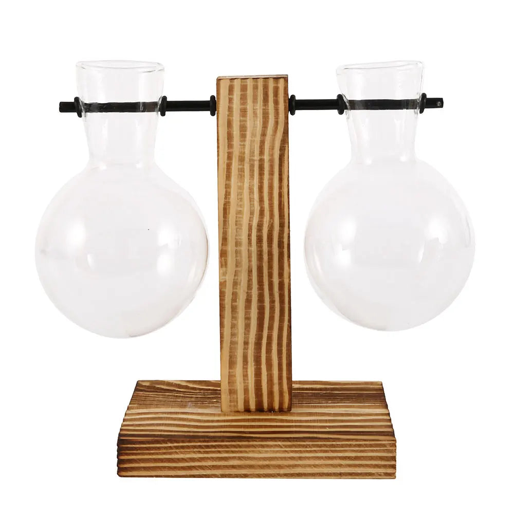Elegante Glasterrarium