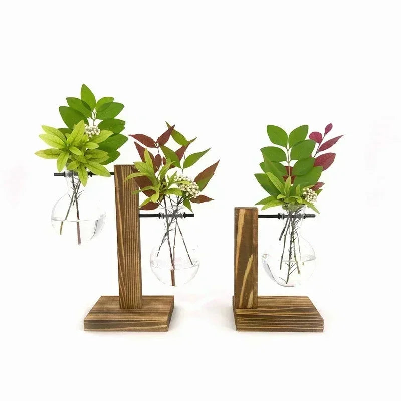 Elegantes Terrarium