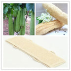Loofah-Badeschwamm