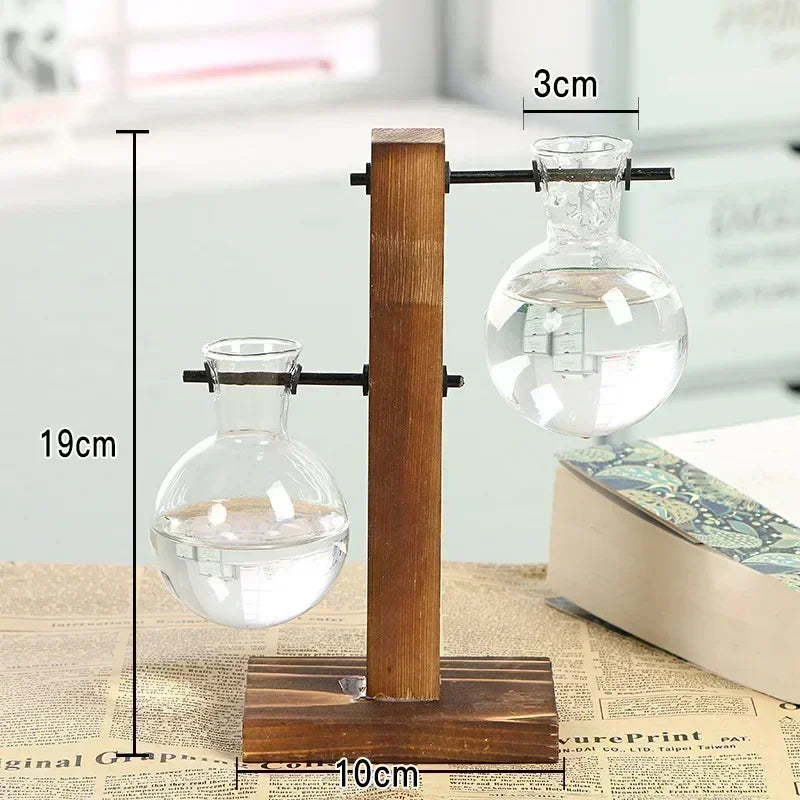 Elegantes Terrarium