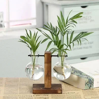 Elegantes Hydroponic-Terrarium