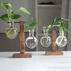Elegante Glasterrarium
