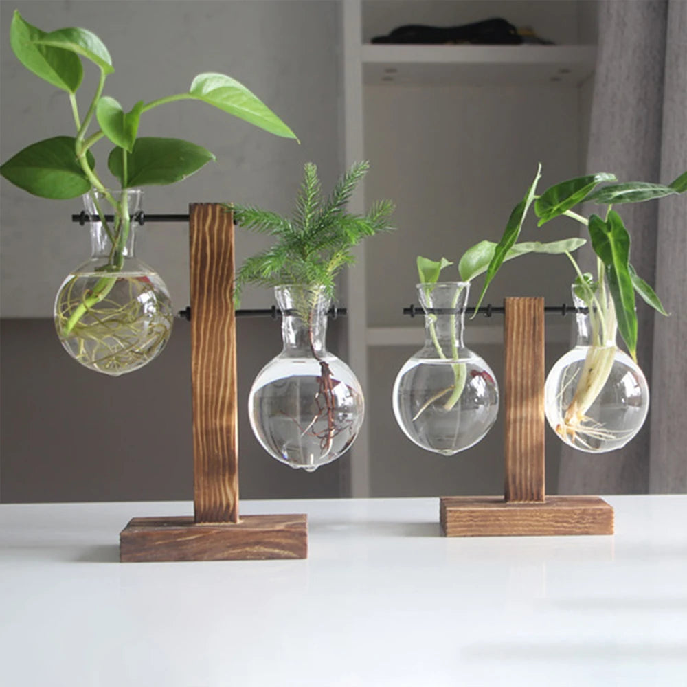 Elegante Glasterrarium